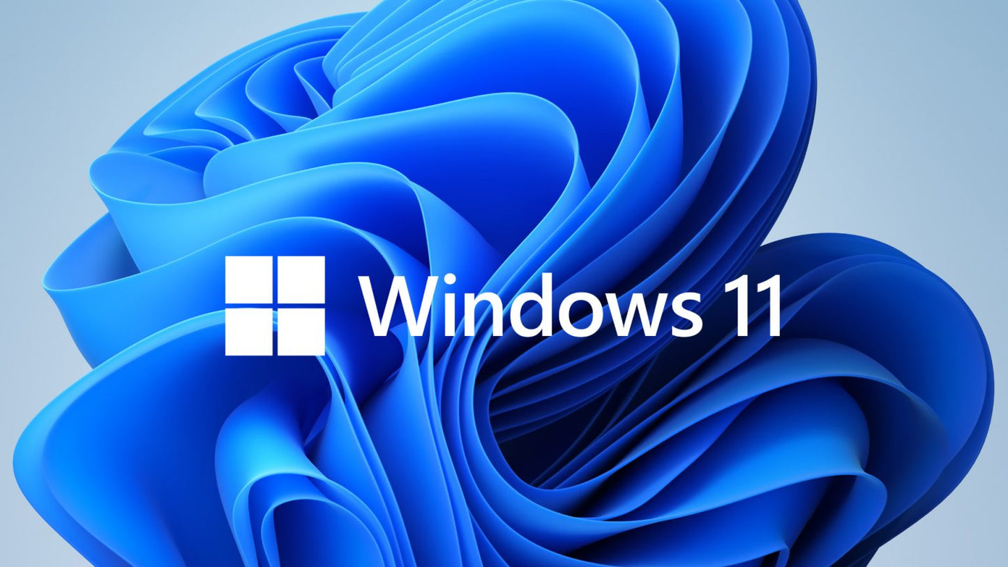 Windows 11 Professional - OEM Install and Activation